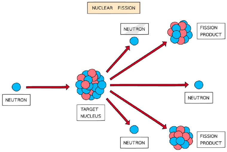 Diagram illustrating nuclear fission where a neutron collides with a target nucleus, splitting it into fission products and releasing more neutrons.