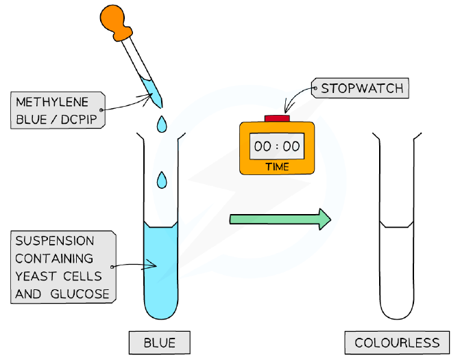 Methylene blue apparatus
