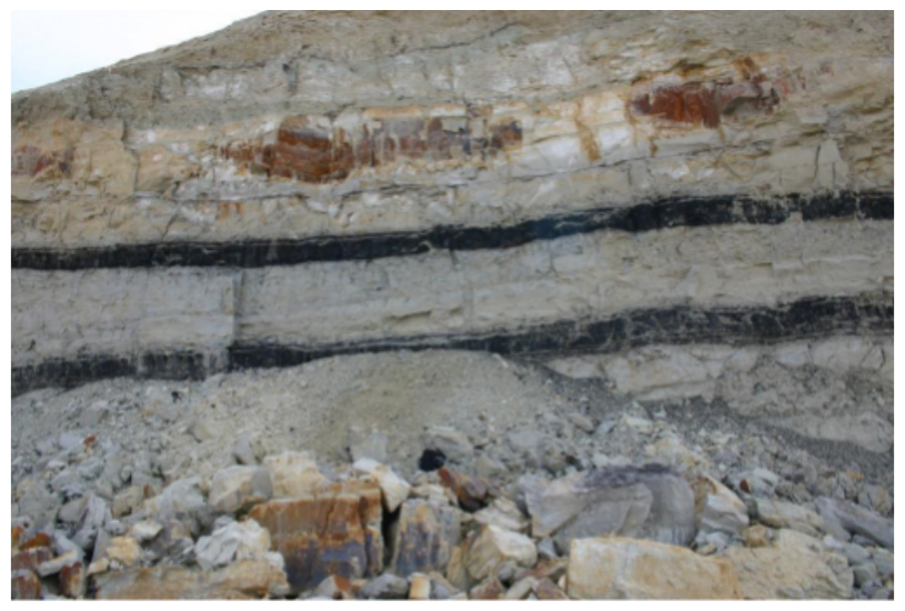 Coal seams in layered sedimentary rock