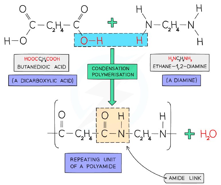Formation of a polyamide from a dicarboxylic acid and a diamine