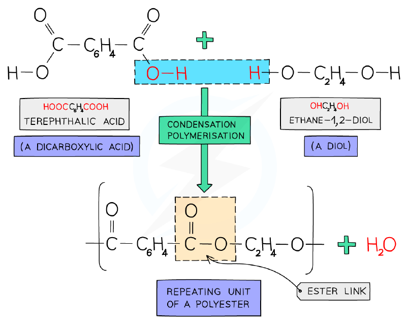 Formation of PET from terephthalic acid and ethane-1,2-diol