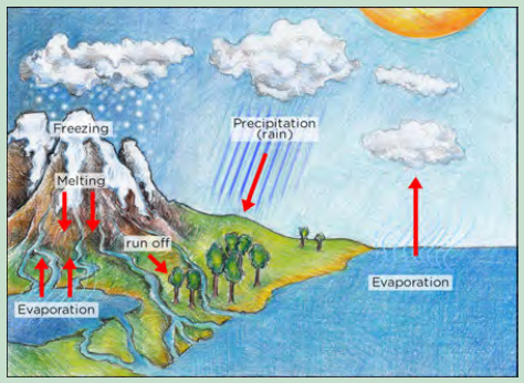 A hand-drawn water cycle diagram showing evaporation from the ocean and from mountain streams, precipitation falling as rain over the hills, and freezing, melting and runoff on the mountainside.