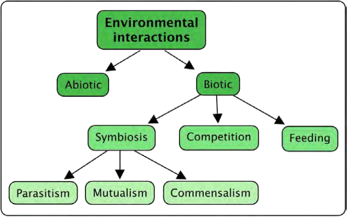 Flowchart of environmental interactions, including abiotic and biotic factors, and types of biotic interactions like symbiosis, competition, and feeding.
