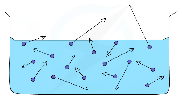 Evaporation of liquid molecules