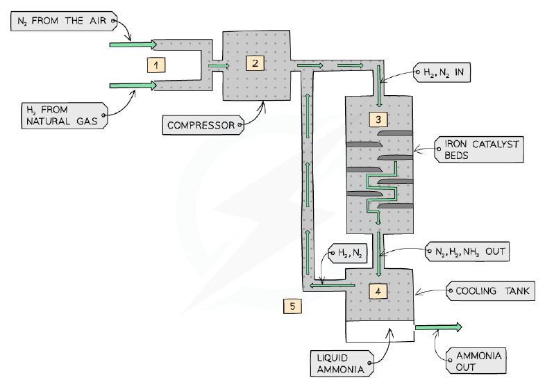 The production of ammonia by the Haber process