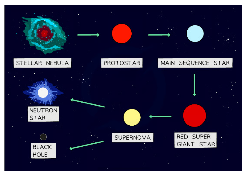 Life cycle of a large mass star