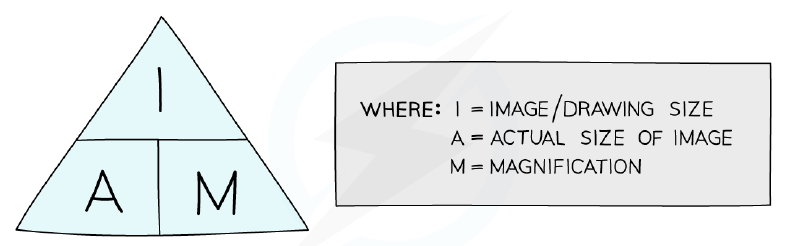 Magnification equation triangle