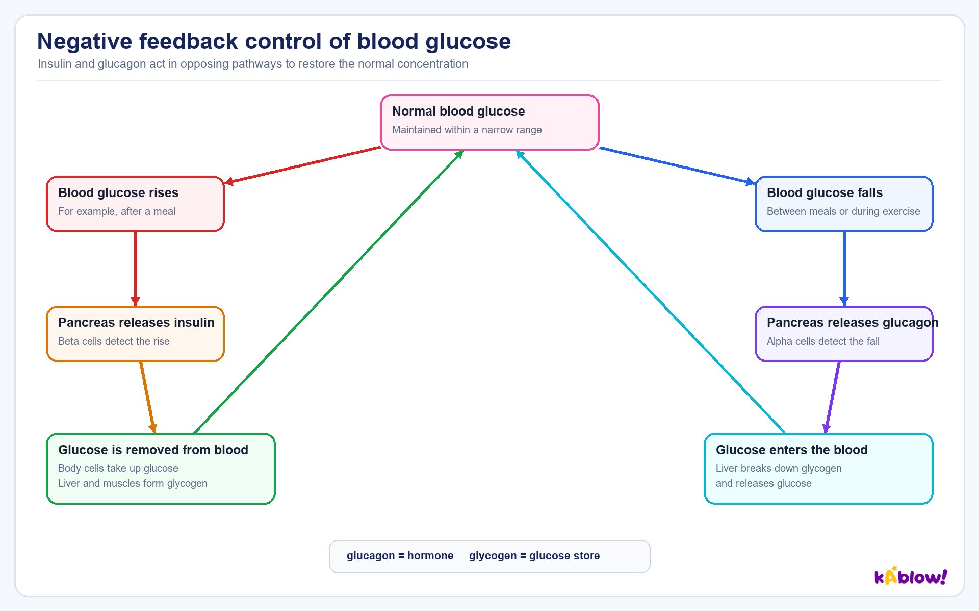 Control of blood glucose