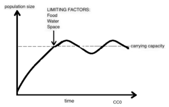 Carrying capacity