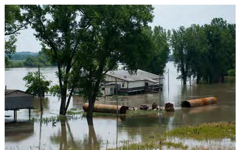 Flooding is one of several natural disasters that can severely disrupt an ecosystem.