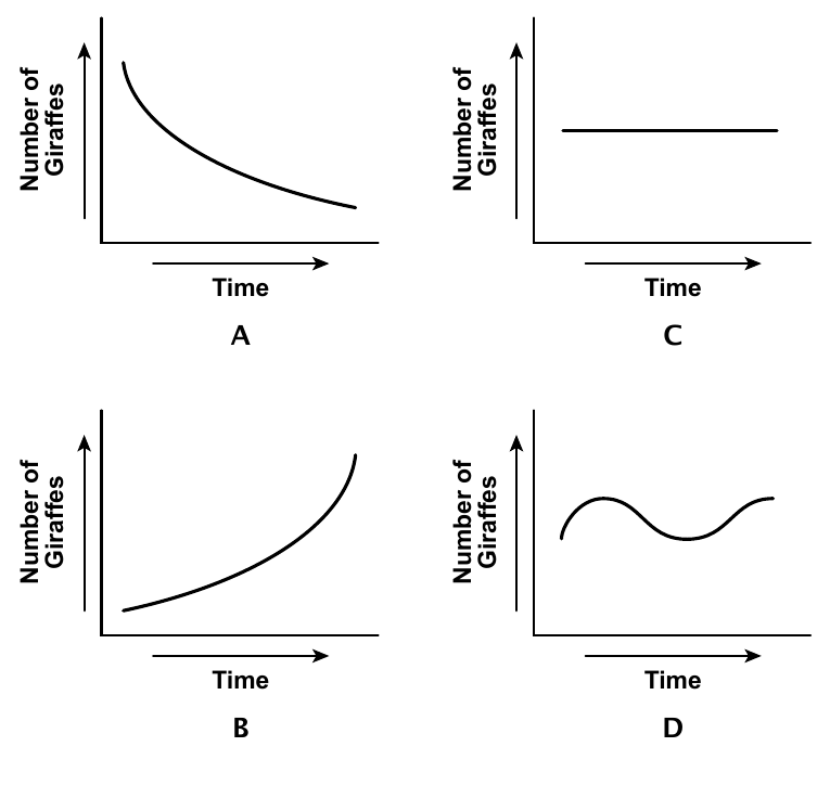 Only one curve matches a population in steady decline.