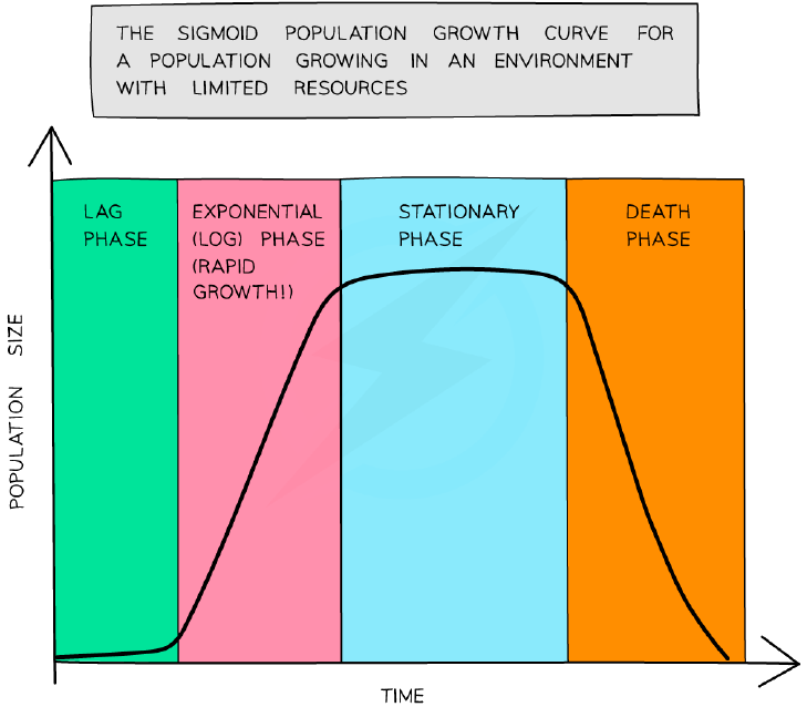 The sigmoid population growth curve