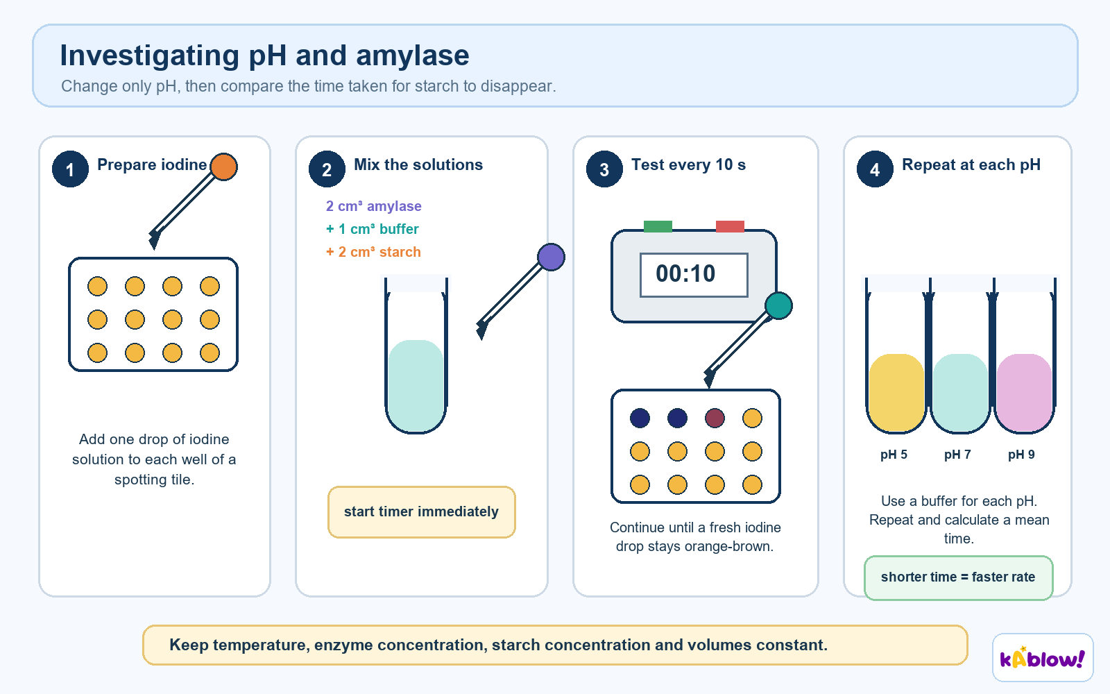 Method for testing the effect of pH on amylase