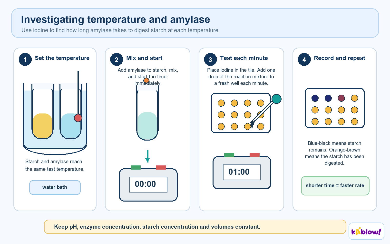 Investigating enzyme activity