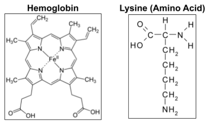 Molecules built from food