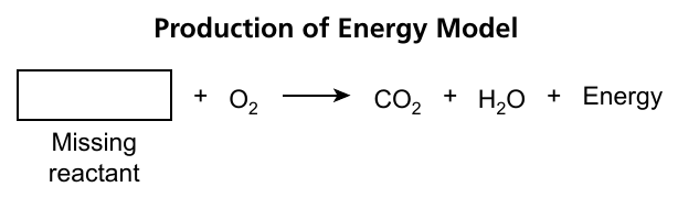 A model of cellular respiration in a runner's cells, with one reactant left blank.