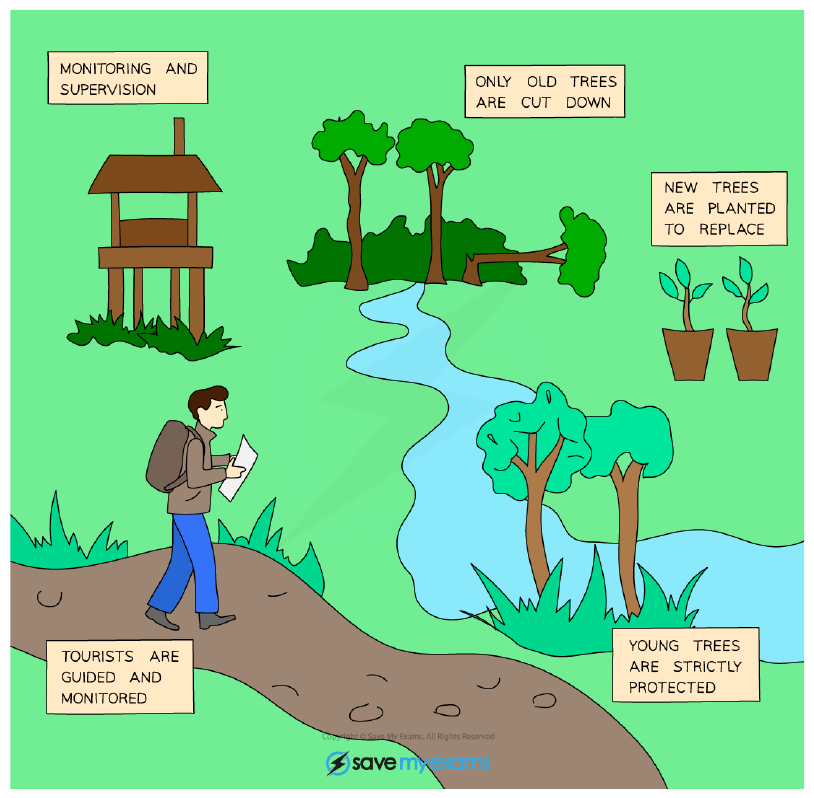 Sustainable forest management