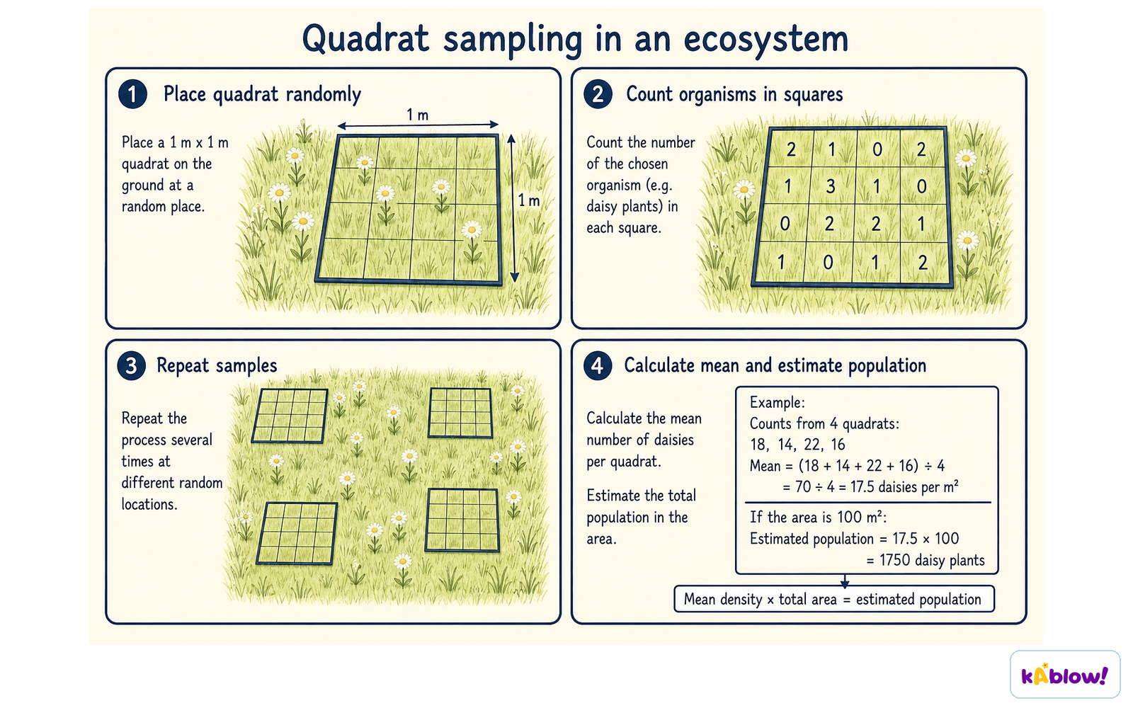 How to sample with quadrats