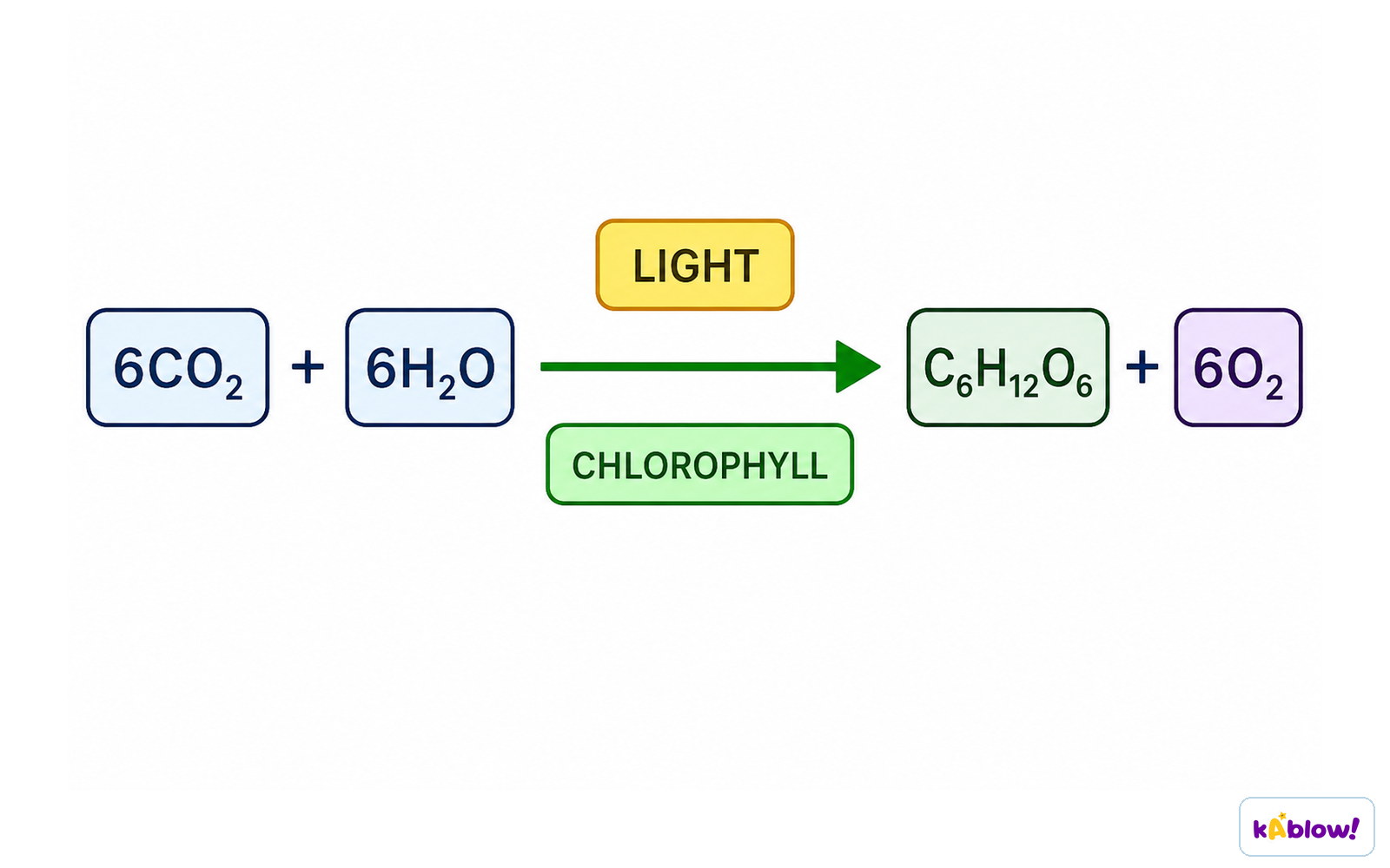 Balanced equation for photosynthesis