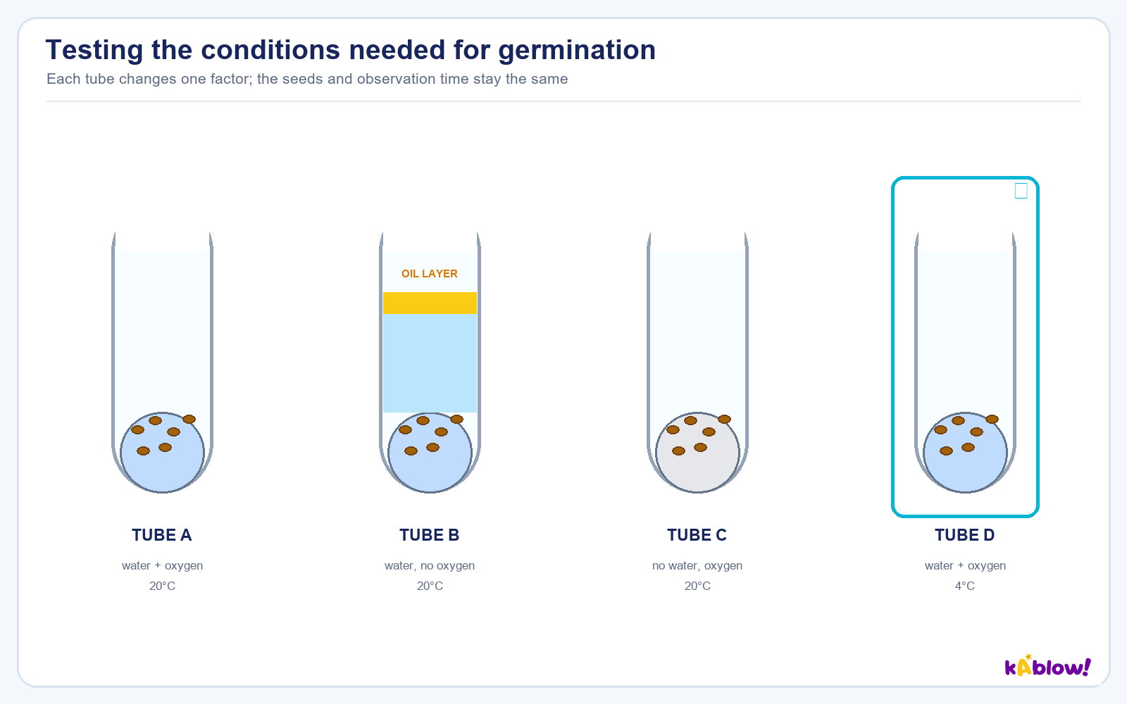 Testing what seeds need to germinate