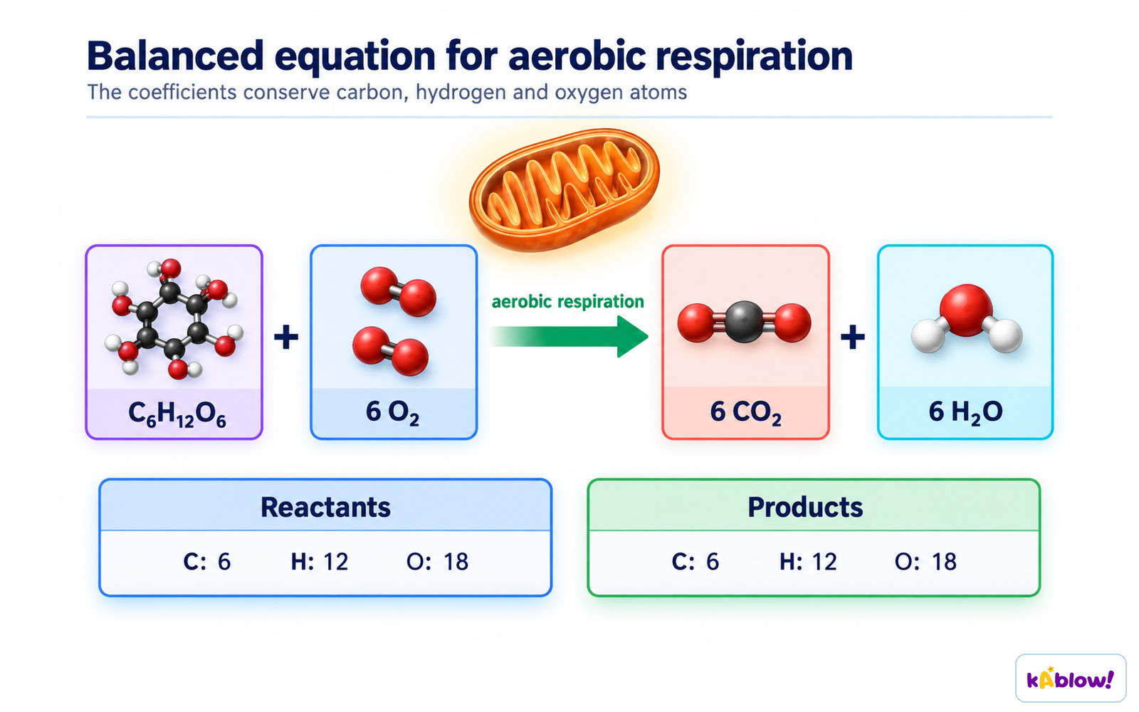 Balanced equation for aerobic respiration