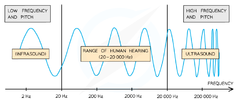 Frequencies of ultrasound