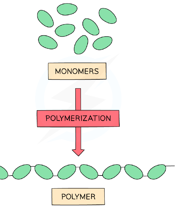 Monomers joining to form a polymer