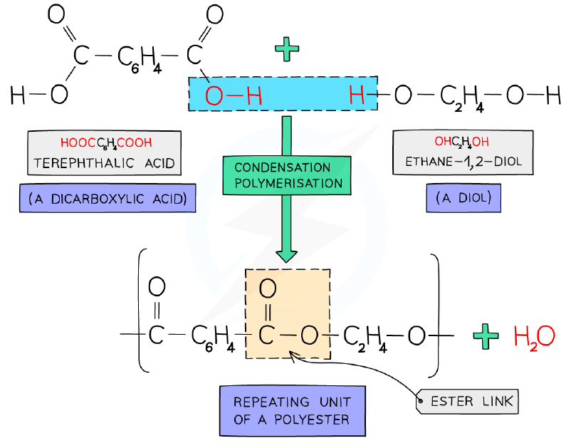 Formation of PET (a polyester)