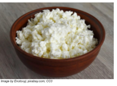A solid comes out of solution when acid is added to milk, forming cottage cheese.