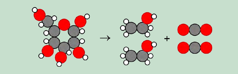 A diagram showing the fermentation of glucose into alcohol and carbon dioxide.