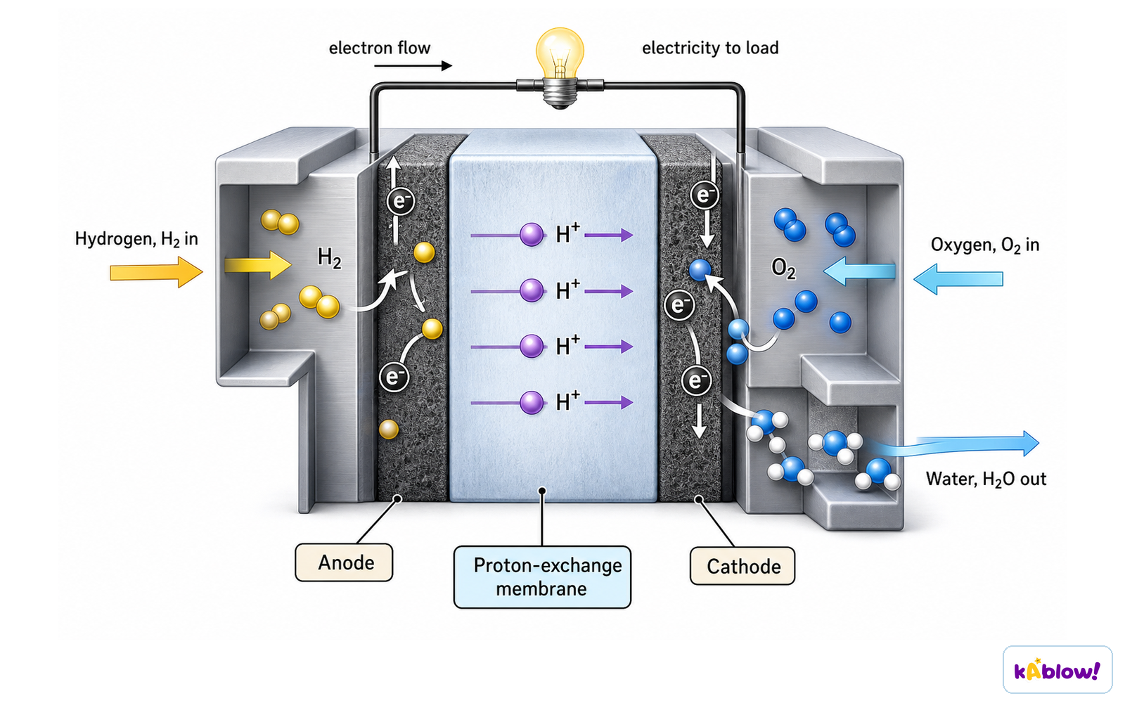 A hydrogen–oxygen fuel cell