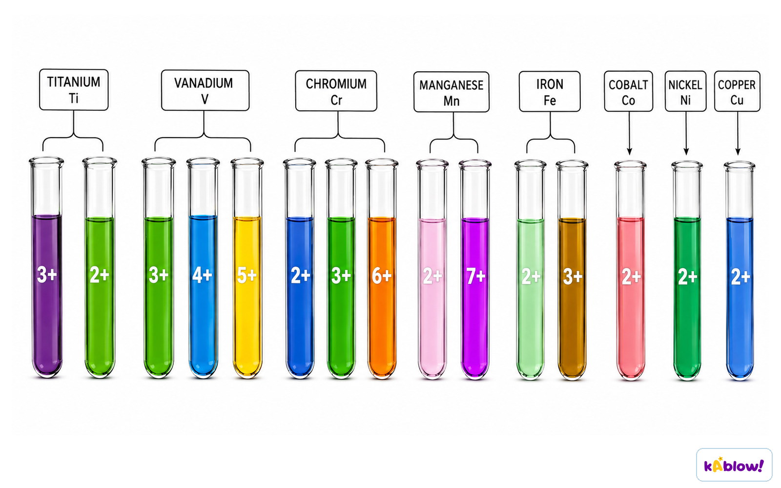 Coloured compounds formed by transition metal ions