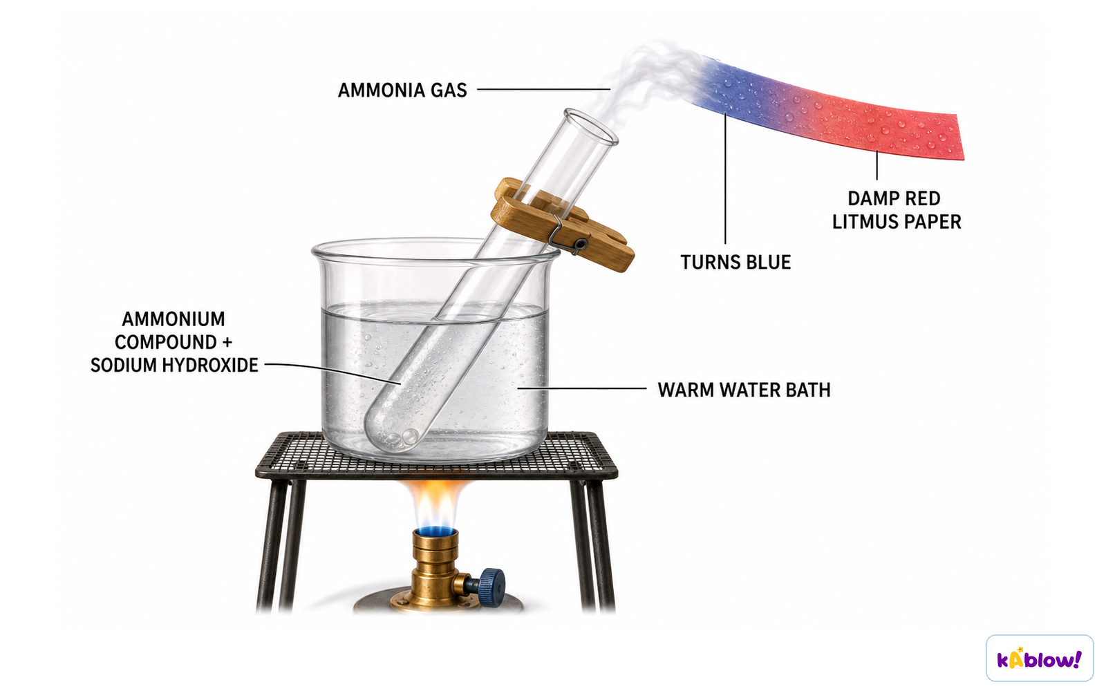 Testing for ammonium ions