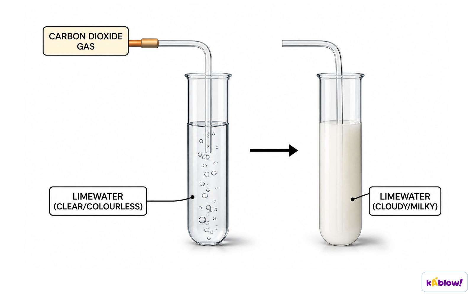 Testing for carbon dioxide gas