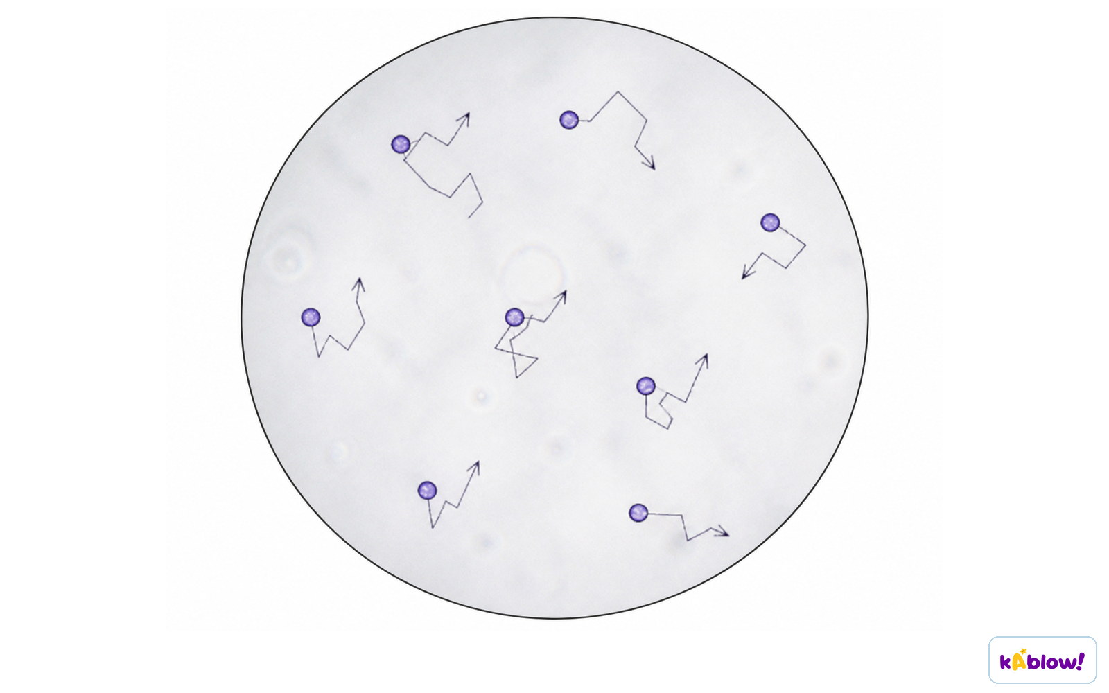 Brownian motion: the random motion of particles (e.g. pollen) when observed through a microscope.