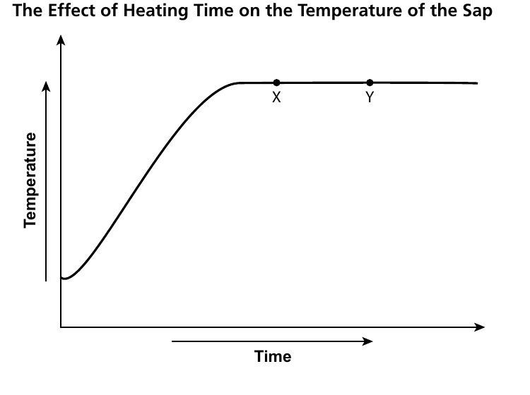 The effect of heating time on the temperature of sap: temperature rises, then levels off once the sap boils.