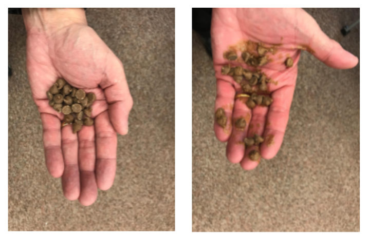 Chocolate chips held in a hand before and after warming, going soft and squishy.