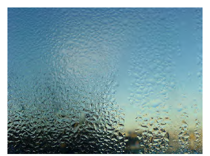 Water vapour in the air has condensed on the cold surface of this glass window.