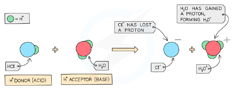 Proton transfer between an acid and a base