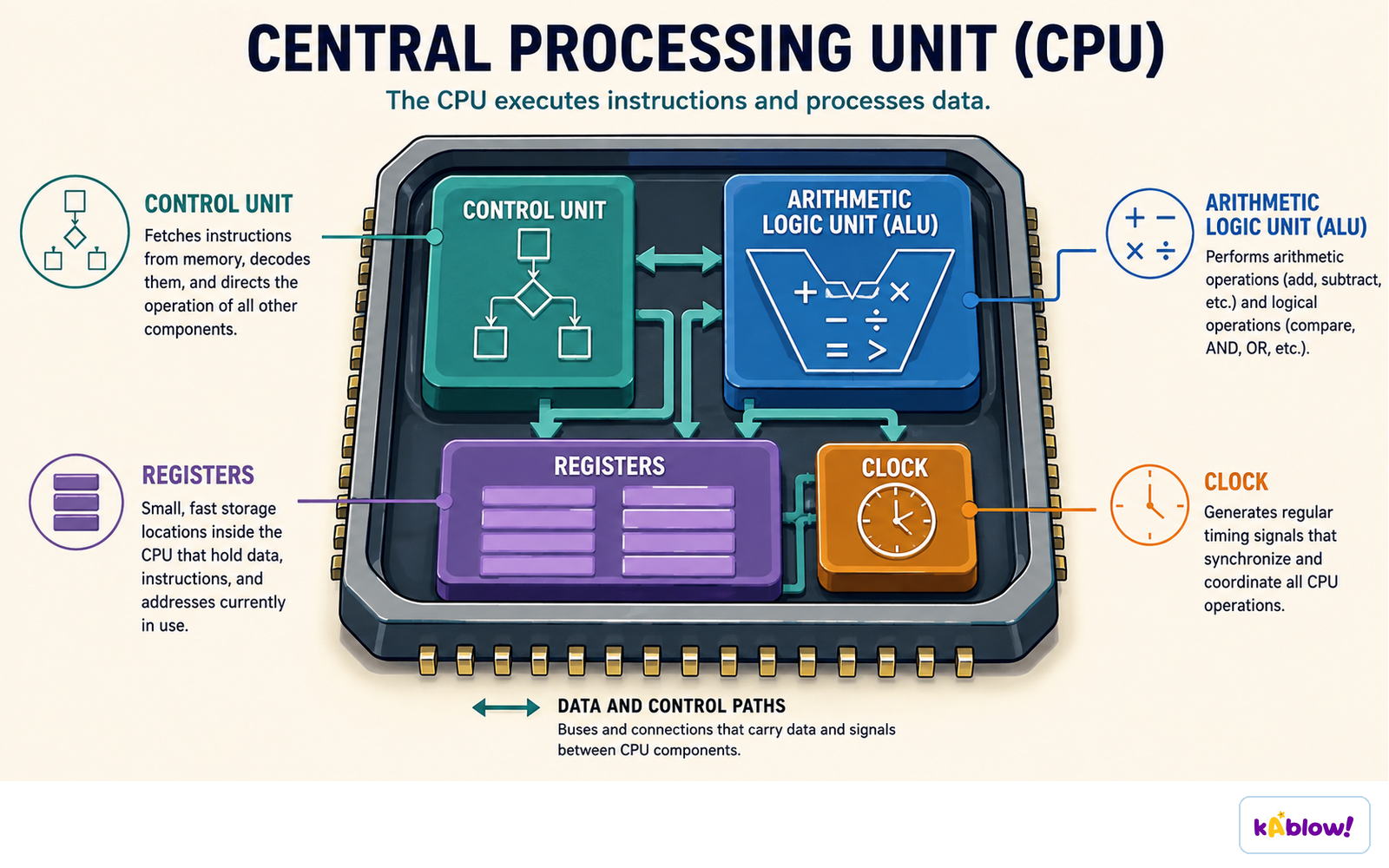 The control unit, ALU, registers and clock work together inside the CPU, connected by data and control paths.