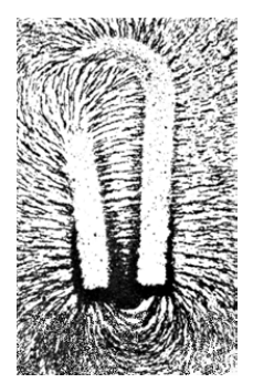 Iron filings tracing the magnetic field around a horseshoe magnet.