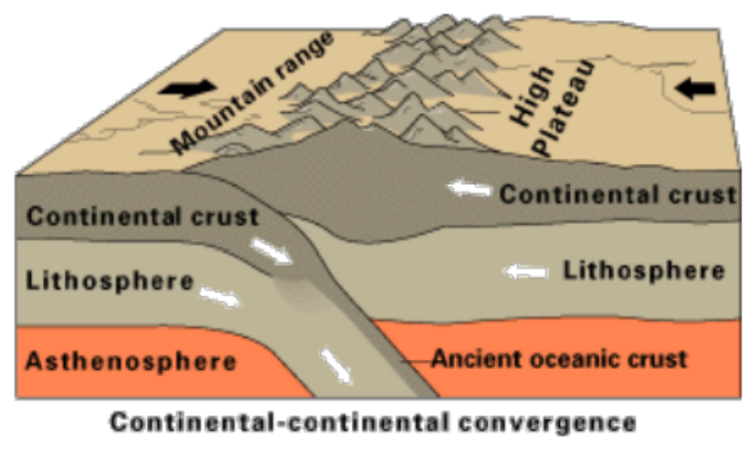 Cross-section diagram of two continental plates colliding, crumpling the crust upward while older oceanic crust is dragged down between them.