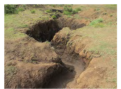 Gully erosion cut by flowing water