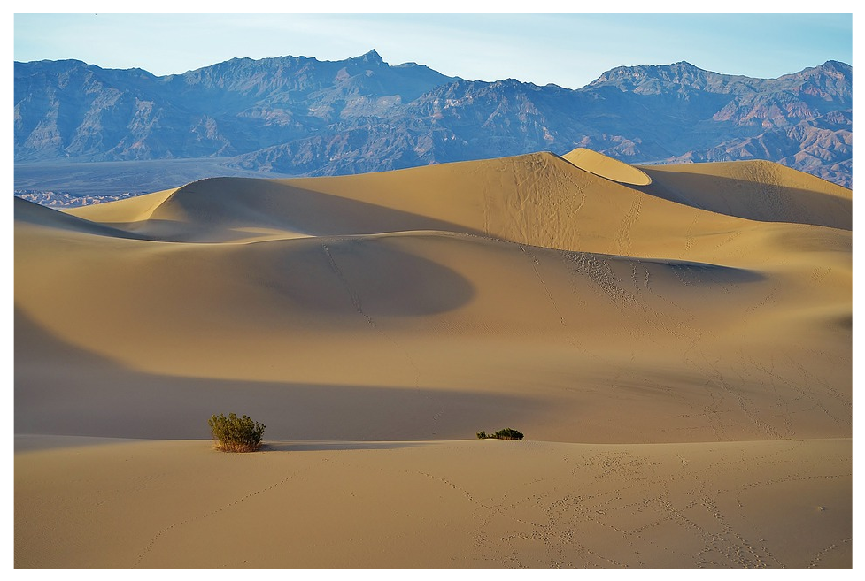 Photograph of a large field of wind-built sand dunes with mountains in the background.