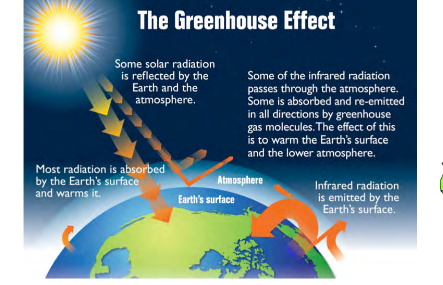 The greenhouse effect: sunlight reaching Earth's surface and infrared radiation being absorbed and re-emitted by greenhouse gases