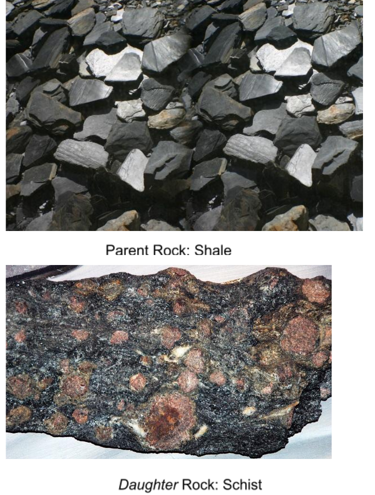 Parent rock and daughter rock: shale (a sedimentary rock) metamorphoses into schist under heat and pressure.
