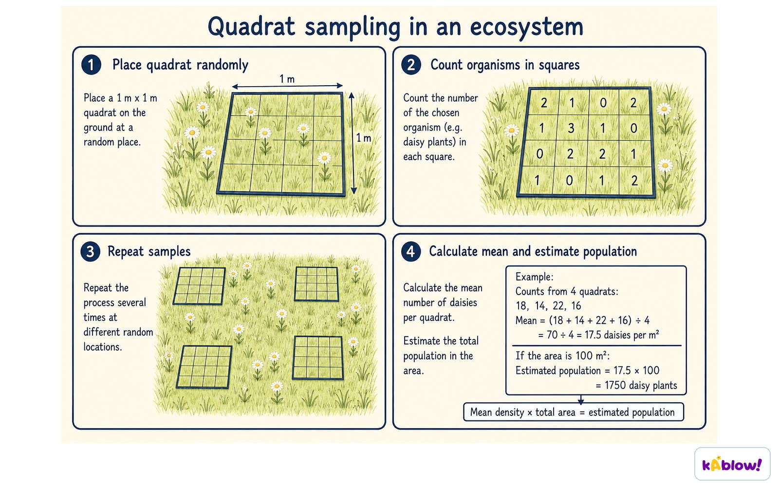 Random quadrat sampling