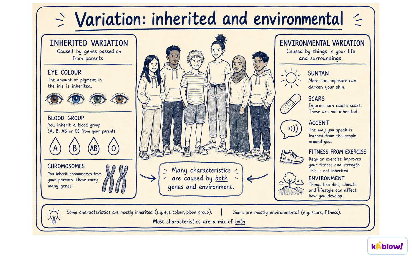 Inherited variation comes from genes. Environmental variation comes from surroundings and experiences; many characteristics are influenced by both.