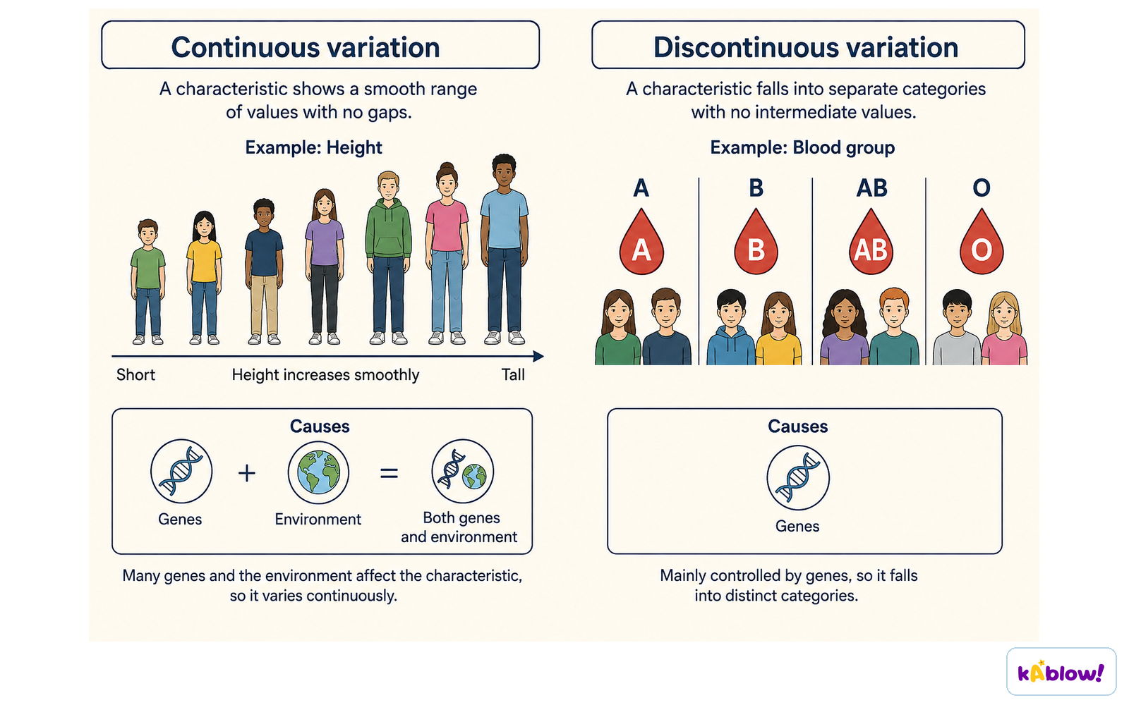 Height varies continuously across a range. ABO blood groups form distinct categories with no intermediate groups.