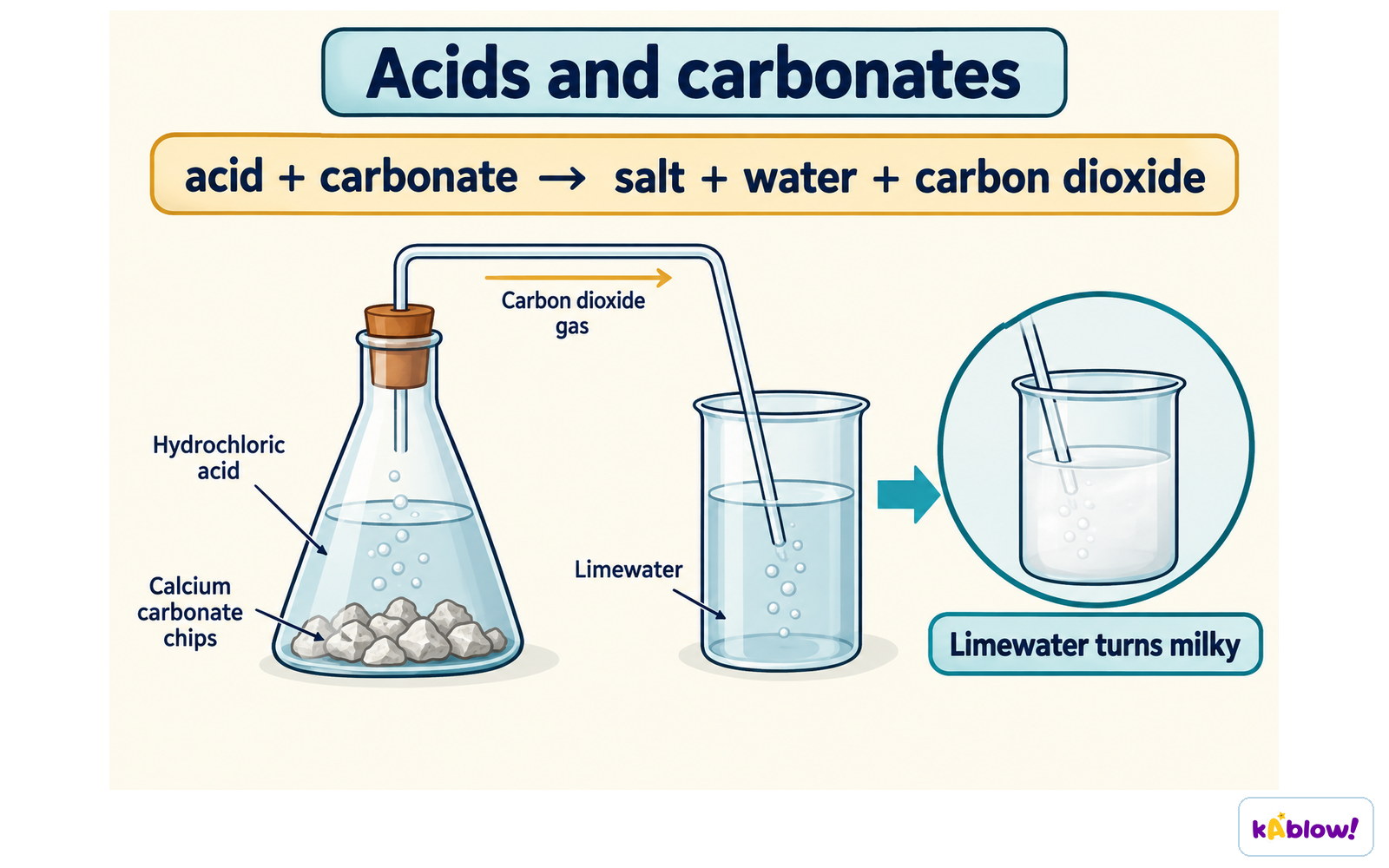 An acid reacts with a carbonate to make a salt, water and carbon dioxide. The carbon dioxide turns limewater milky.